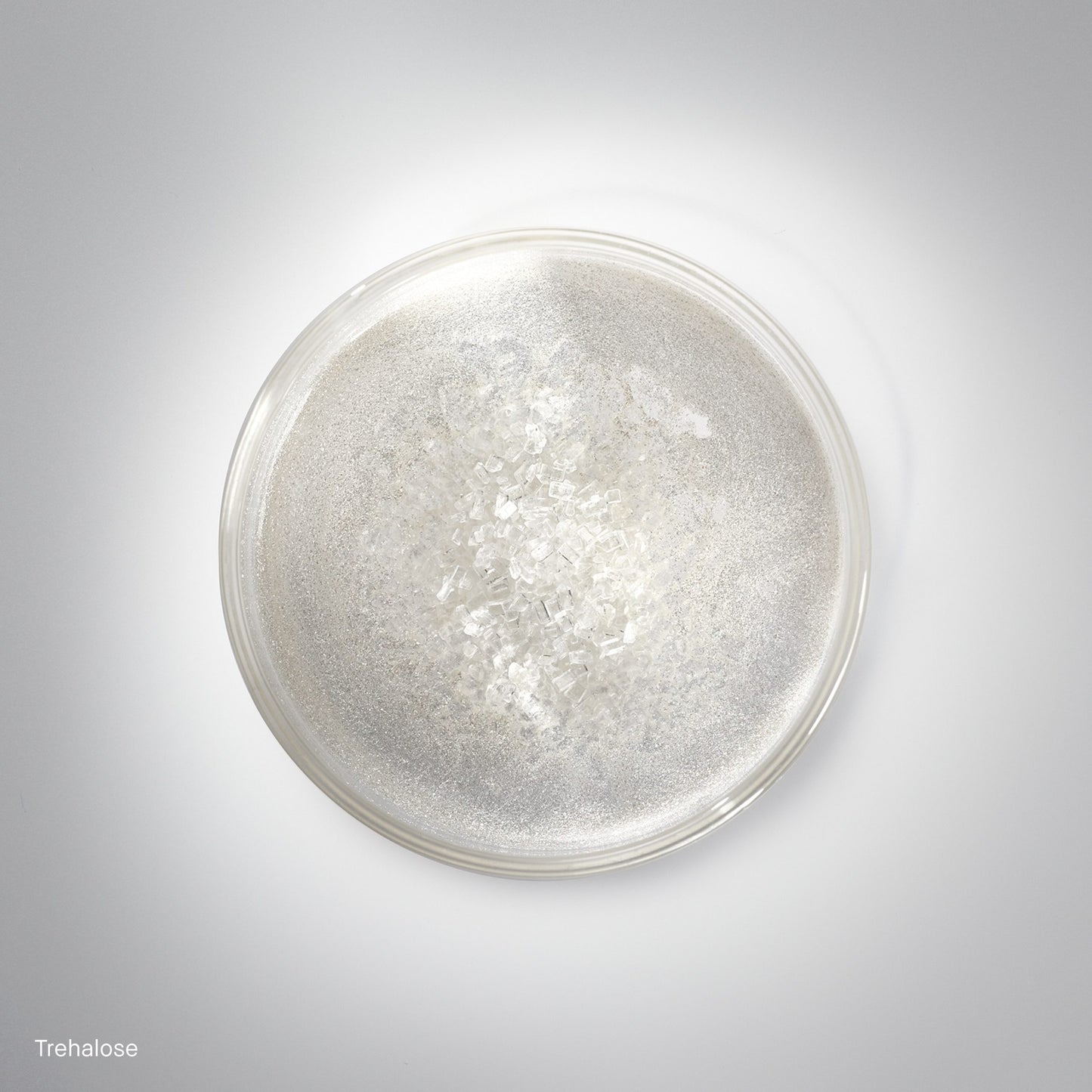 Hydrating Face Cream