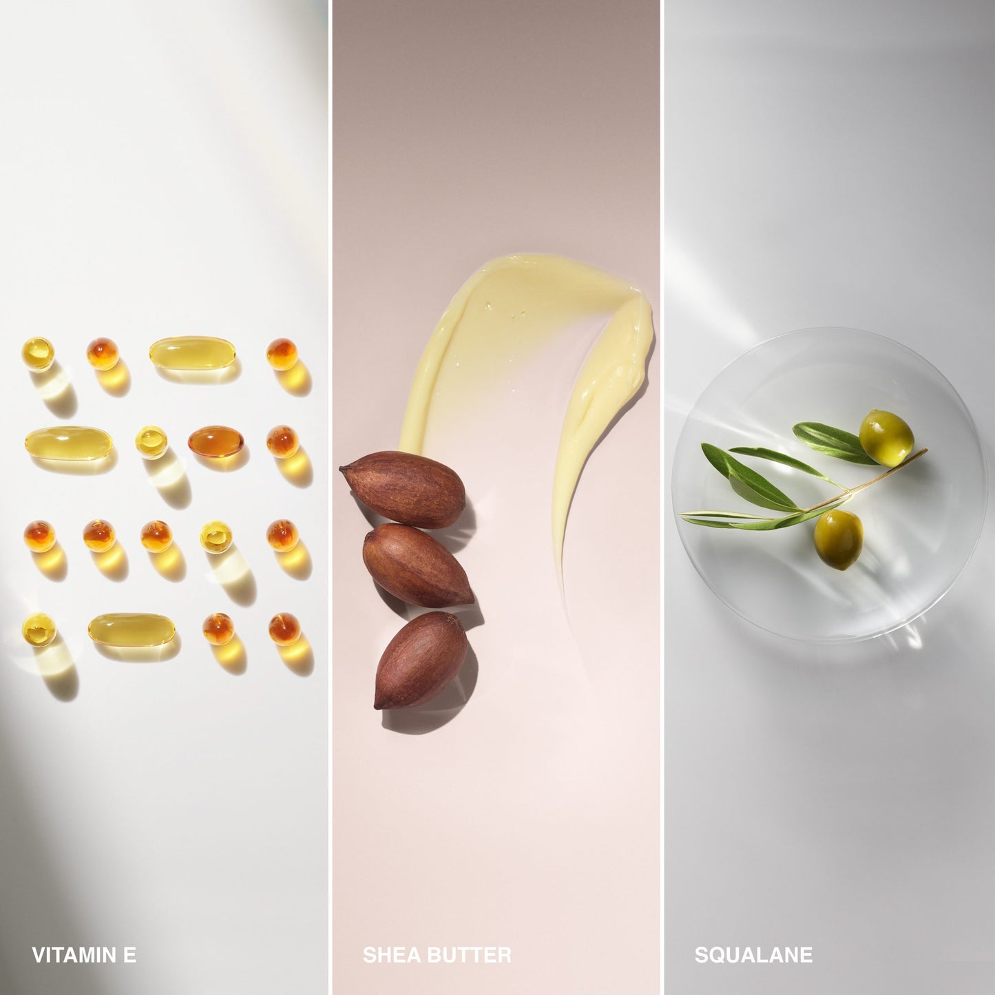 Vitamin Enriched Eye Cream & Primer